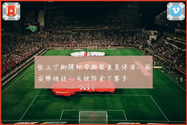 张玉宁脚踝韧带撕裂康复停滞，国安锋线核心或缺阵余下赛季